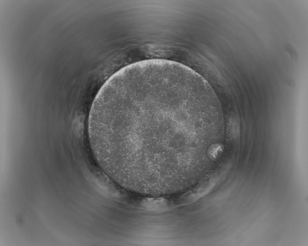 X0000110860271200907301358