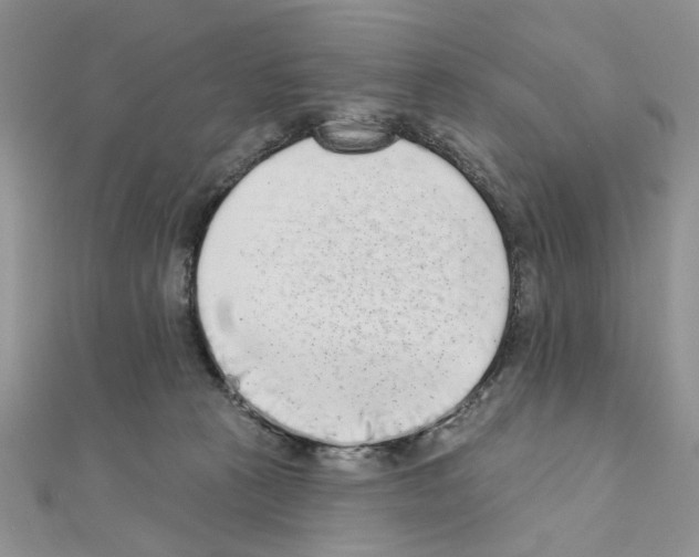 X0000110860273200907301358
