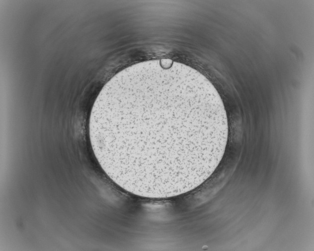 X0000110860274200907301358