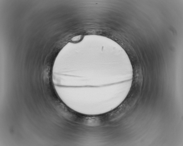 X0000110860275200907301358