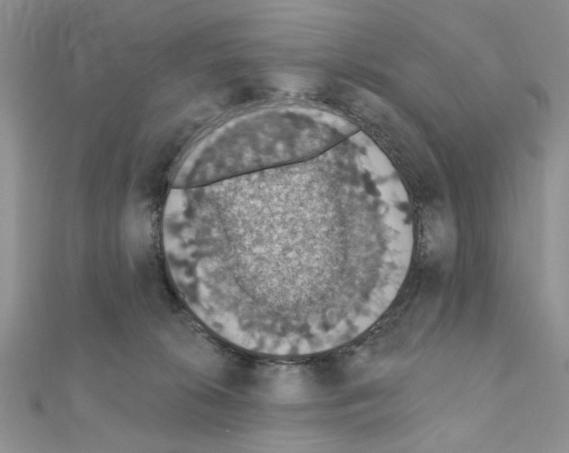 X0000110860276200907301358