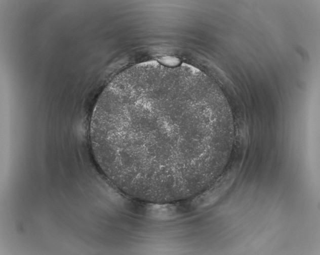 X0000110860277200907301358