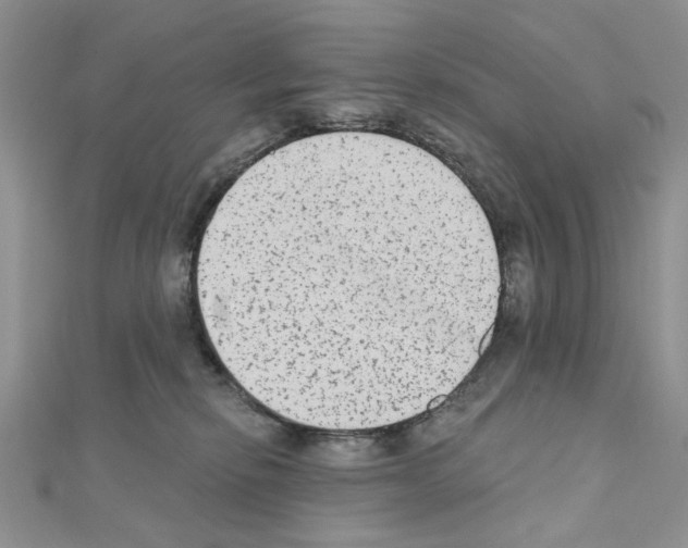 X0000110860278200907301358