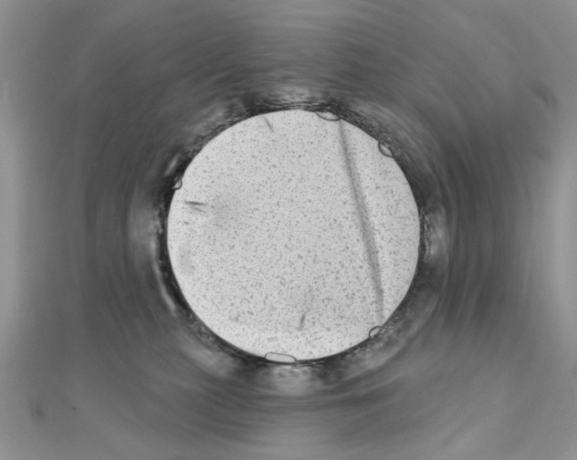X0000110860279200907301358