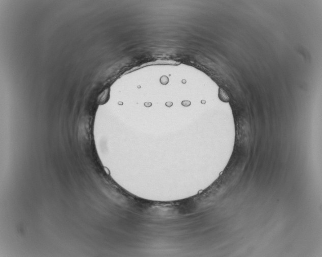 X0000110860280200907301358
