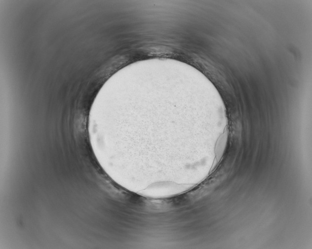 X0000110860281200907301358