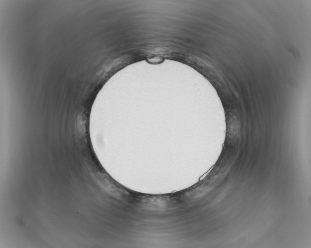 X0000110860282200907301358