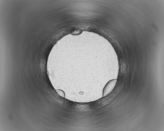X0000110860283200907301358