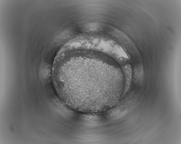 X0000110860284200907301358