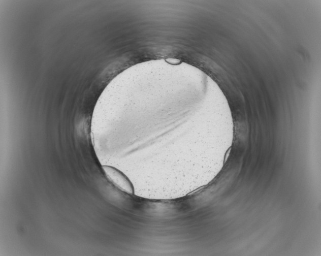 X0000110860286200907301358