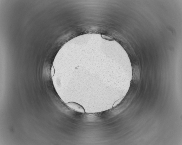 X0000110860287200907301358