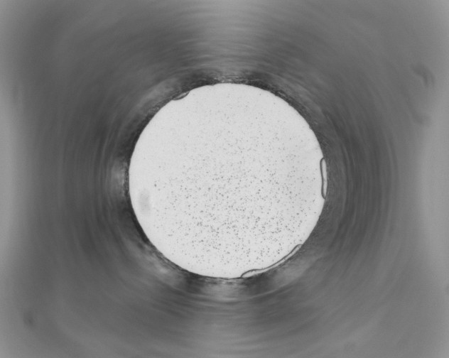 X0000110860288200907301358