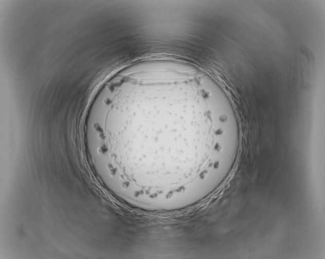X0000110860289200907301357