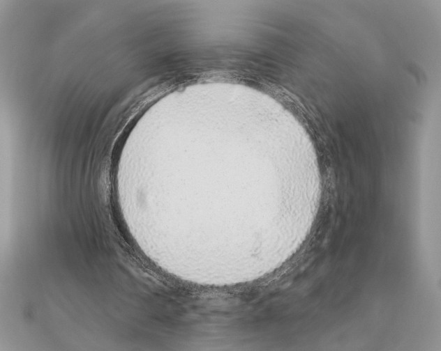 X0000110860290200907301357