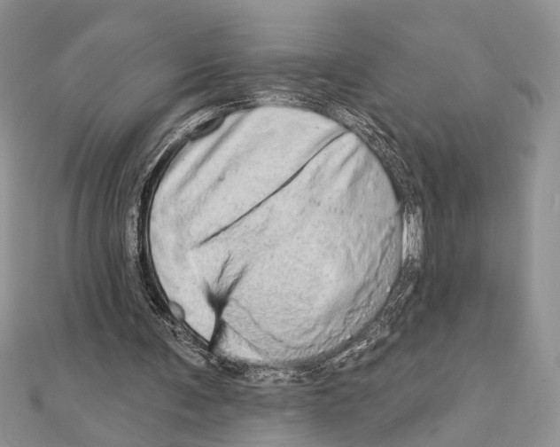 X0000110860291200907301357