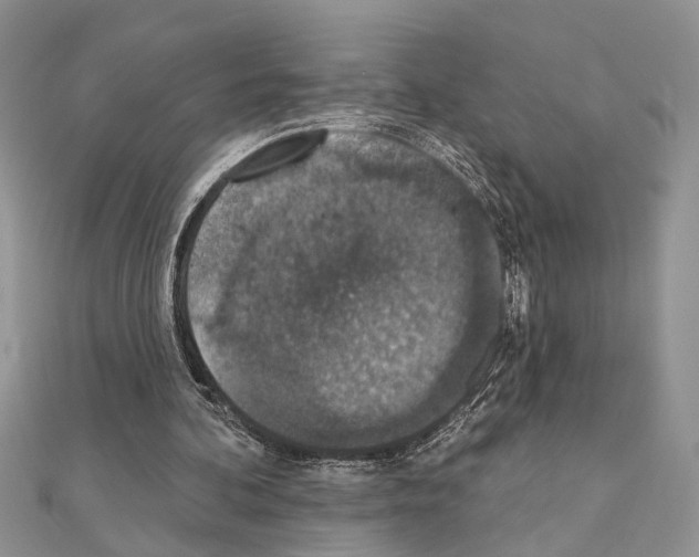 X0000110860292200907301357
