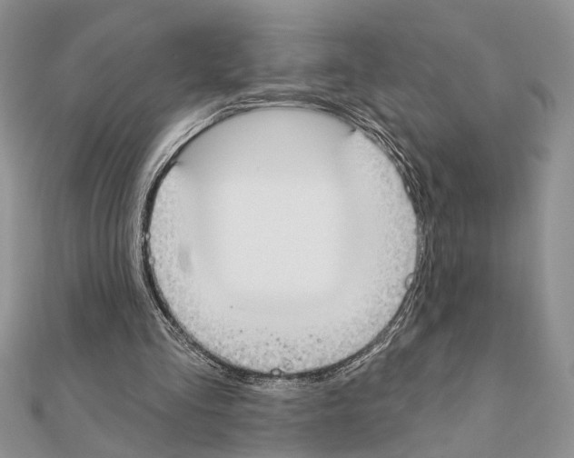 X0000110860293200907301357