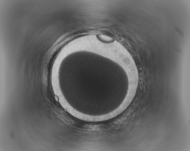 X0000110860295200907301357