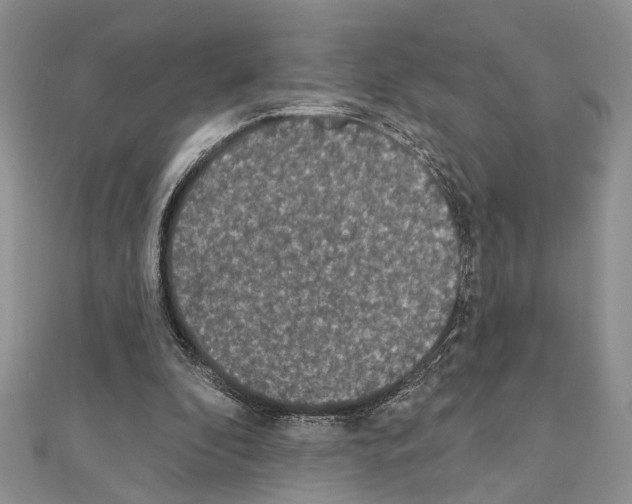 X0000110860296200907301357