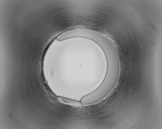 X0000110860297200907301357