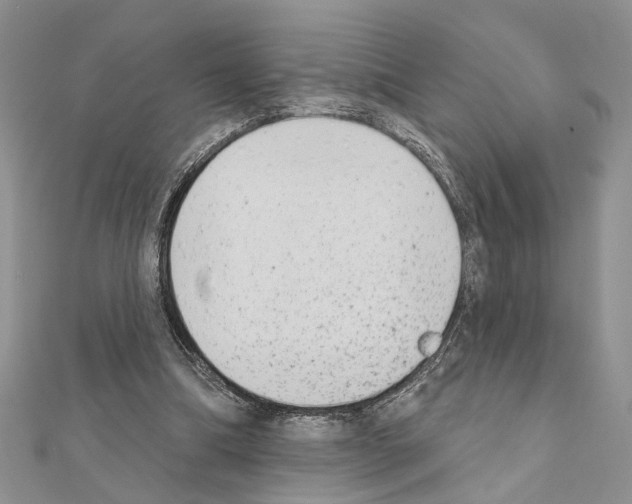 X0000110860298200907301357
