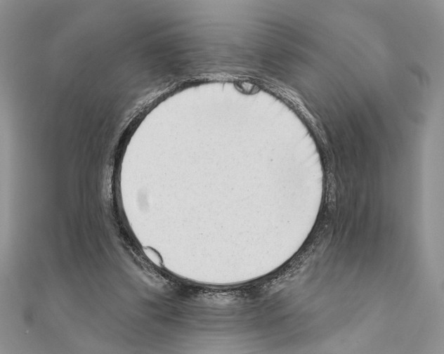 X0000110860299200907301357