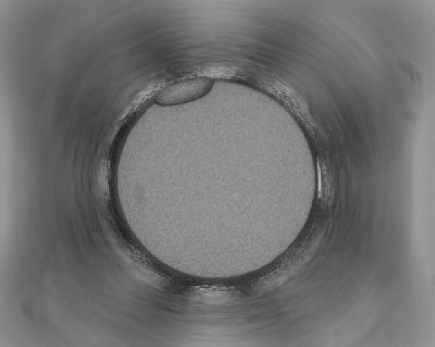 X0000110860300200907301357
