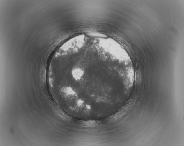 X0000110860301200907301357