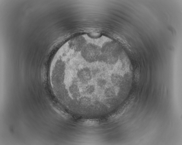 X0000110860303200907301357