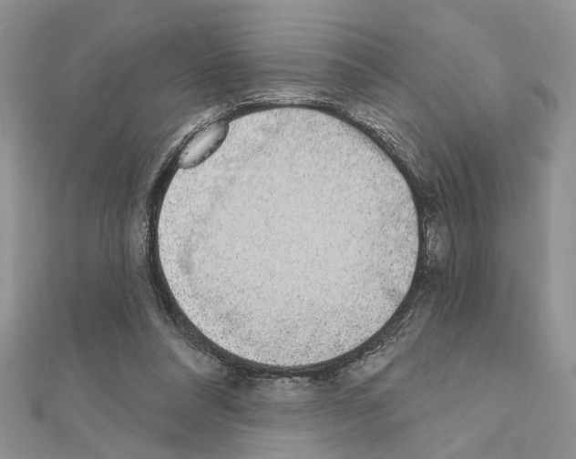 X0000110860304200907301357