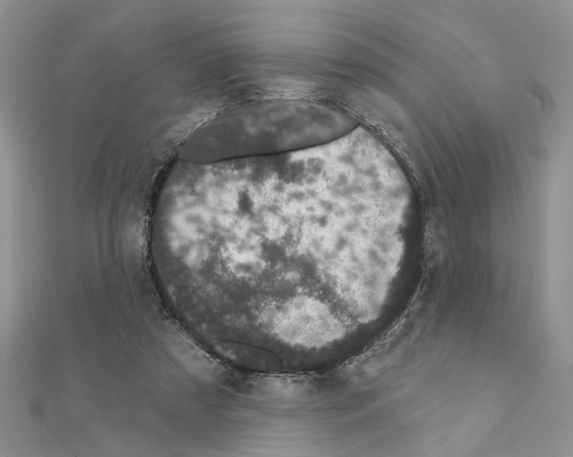 X0000110860305200907301357
