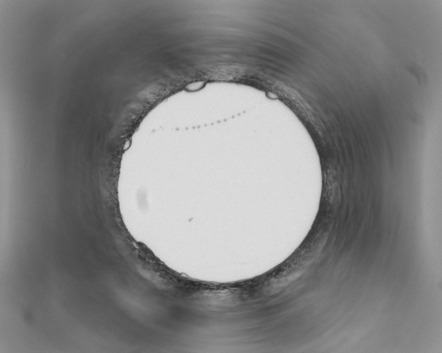 X0000110860307200907301357