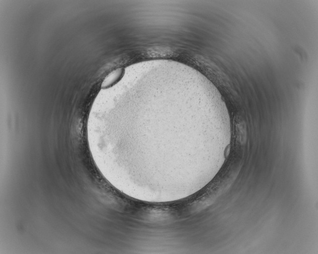 X0000110860308200907301357