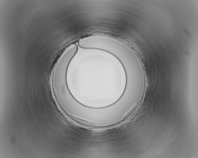 X0000110860309200907301357