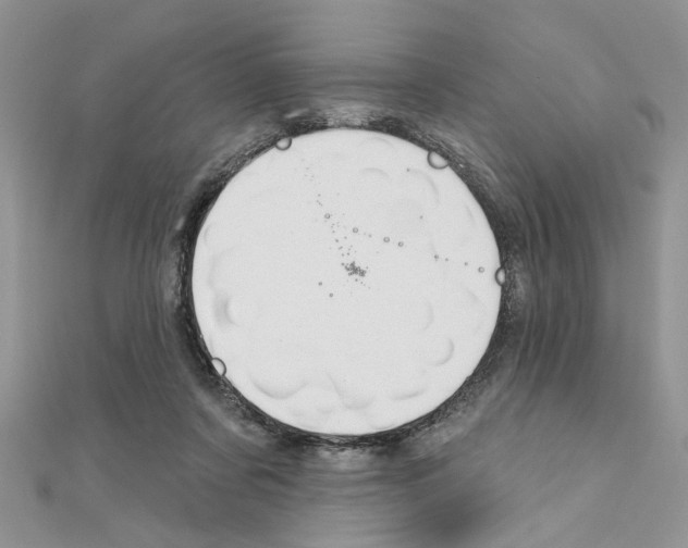 X0000110860311200907301357