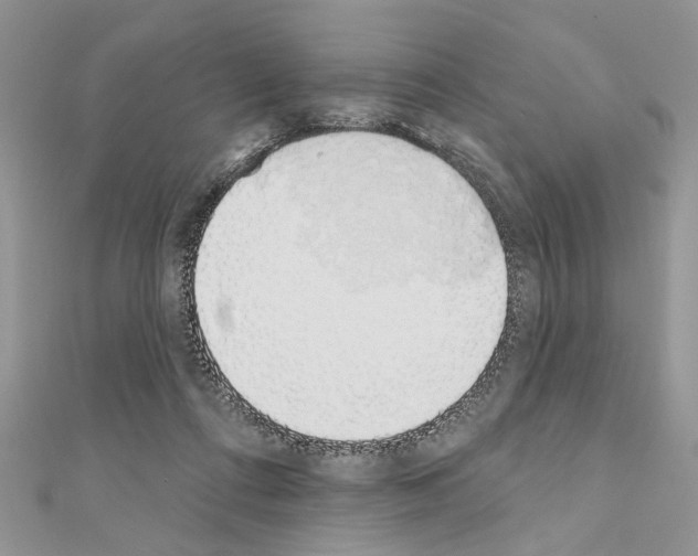 X0000110860312200907301357