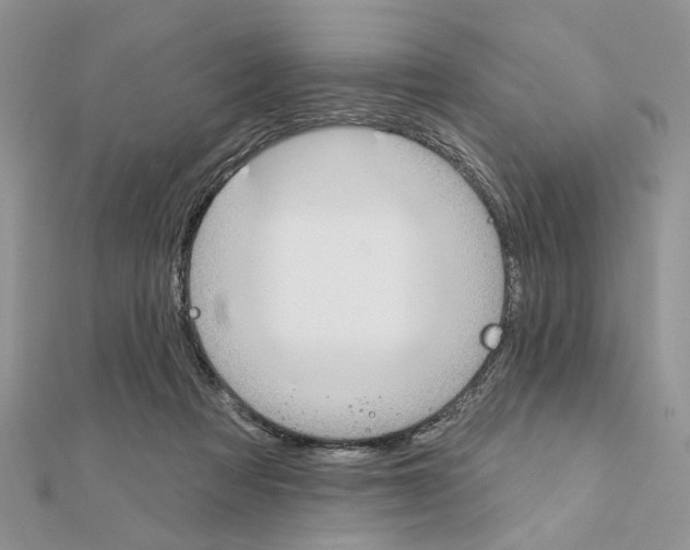 X0000110860313200907301357