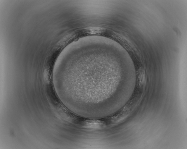 X0000110860316200907301357