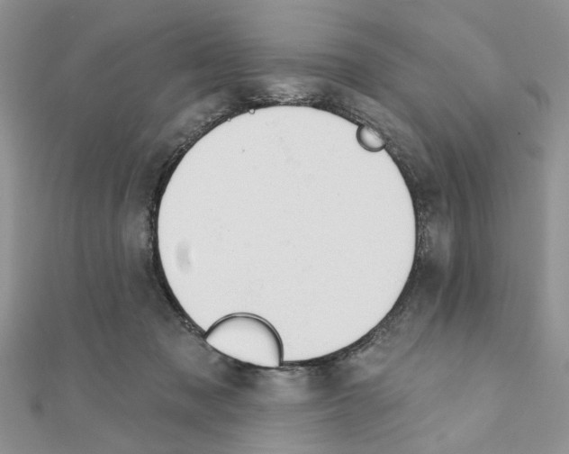 X0000110860317200907301357