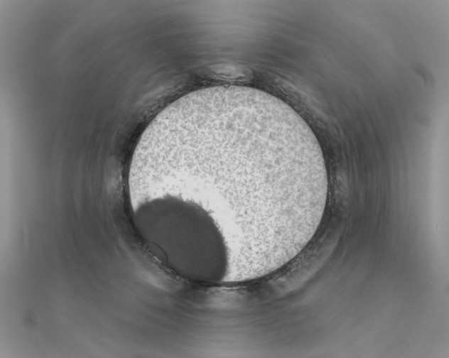 X0000110860320200907301357