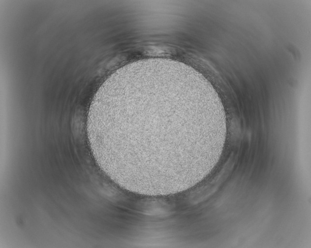 X0000110860322200907301357