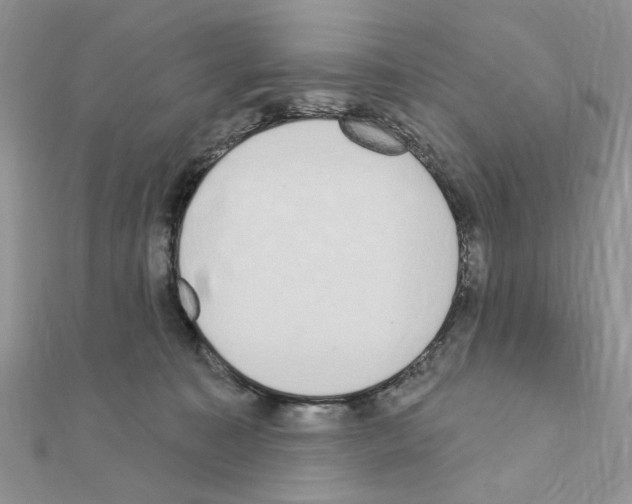 X0000110860323200907301357