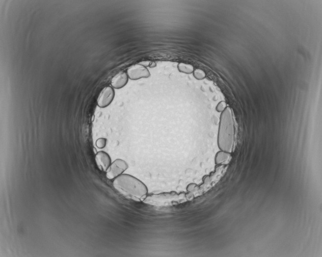 X0000110860324200907301357