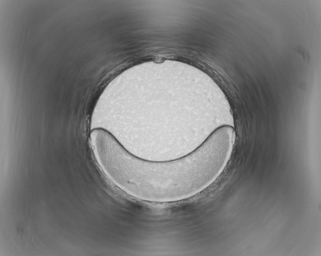 X0000110860325200907301357