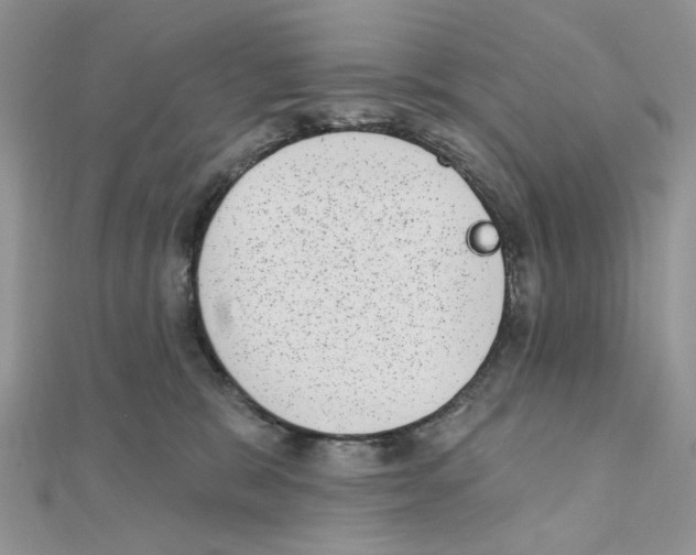 X0000110860327200907301357