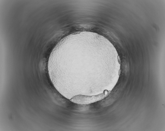 X0000110860328200907301357
