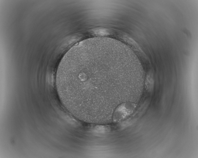 X0000110860330200907301357