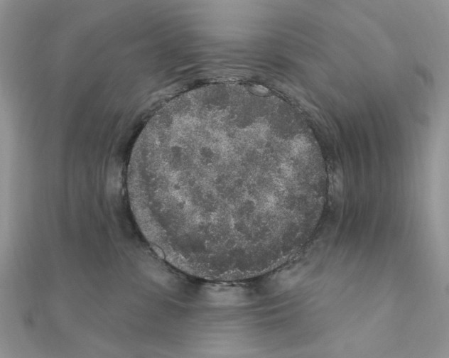 X0000110860331200907301357