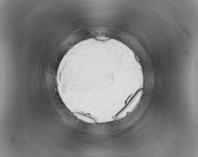 X0000110860332200907301357
