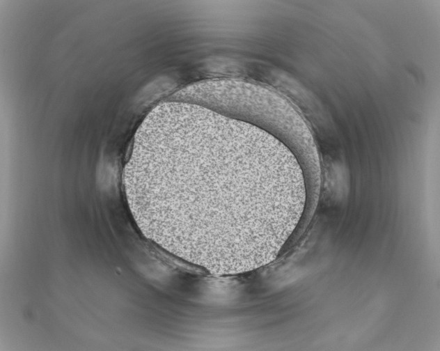 X0000110860333200907301357